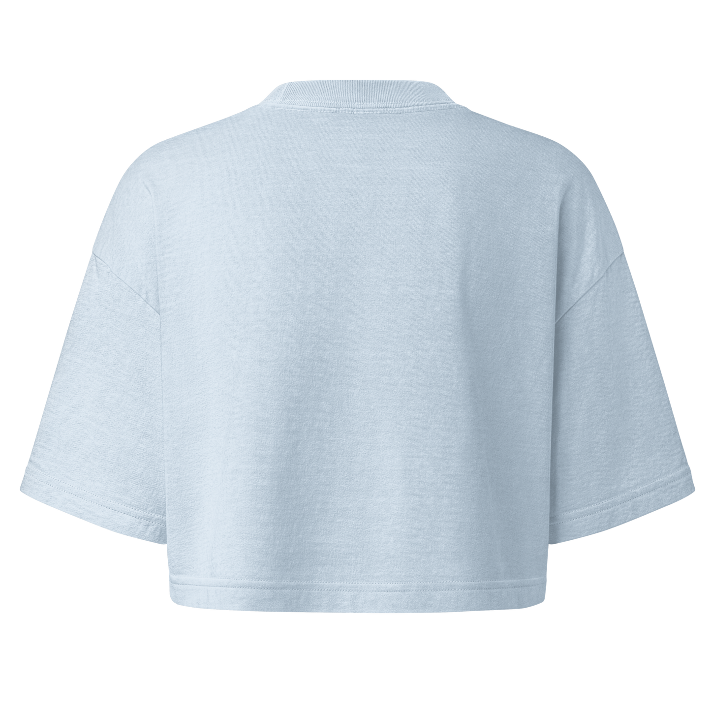 Sun Chaser Women's Cropped Tee (Light Washed Denim)
